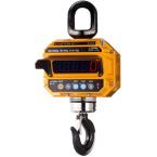 Крановые весы CAS 20 THD