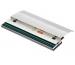 Печатающая головка Toshiba, 600 dpi для B-EX4T2 (0TSBC0145201FCH)