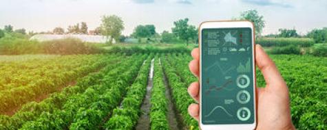 Автоматизация процессов в агропромышленном комплексе Автоматизация процессов в агропромышленном комплексе