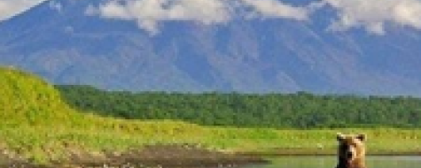 Логистика будущего на Дальнем Востоке