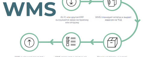 WMS vs ERP: какая система нужна вашему бизнесу