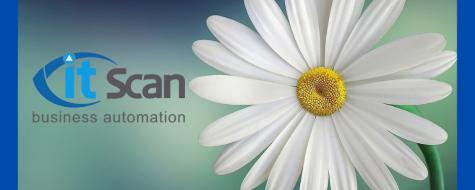 С 8 марта! С 8 марта!